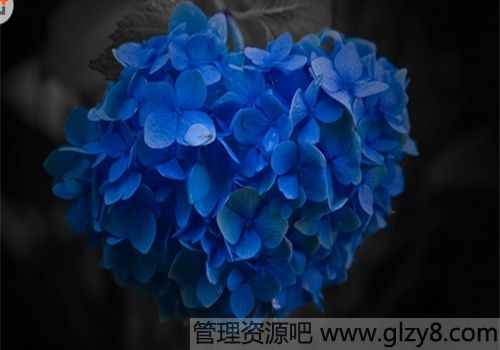 ְʶ