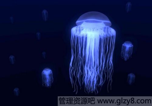 ְҵĹ滮뿪