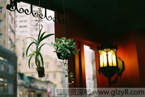 ְҵ滮