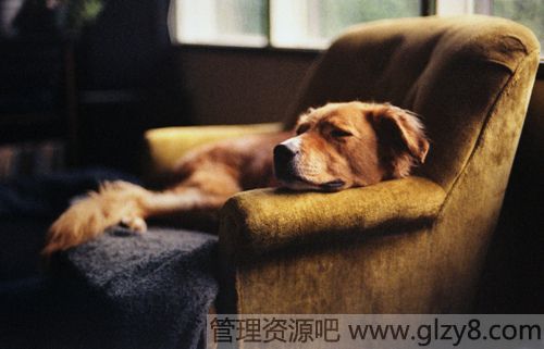 ְҵ滮ԭ