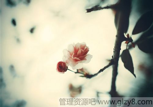 վŻҪִ