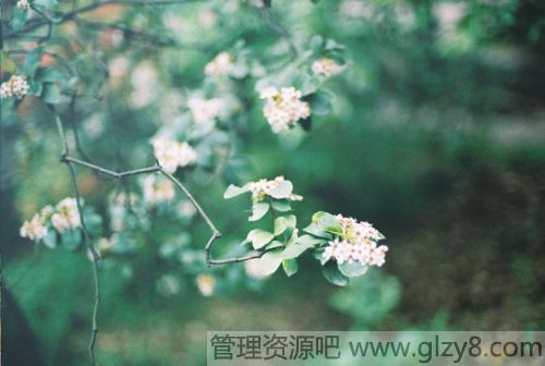 Ǥ己ֳ