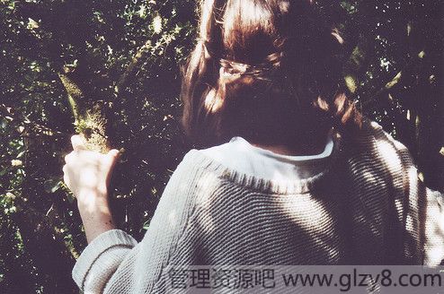 ߲˸߳没η