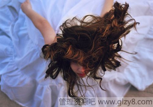 瓜叶菊如何移栽上盆