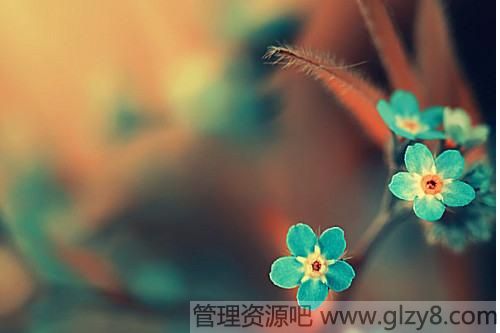 ţ䷽