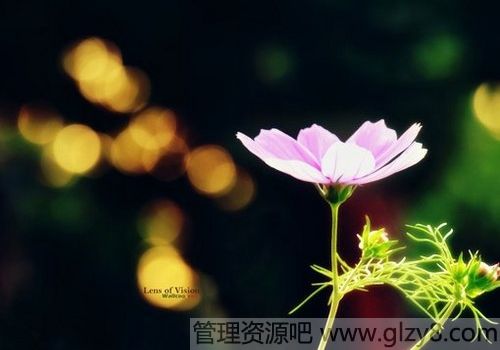 飬Ƚ