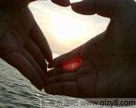 龭¼ѡ