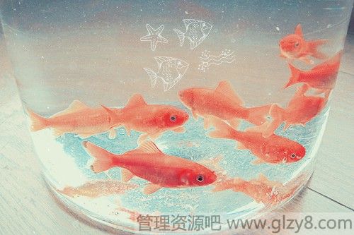 Ů֮