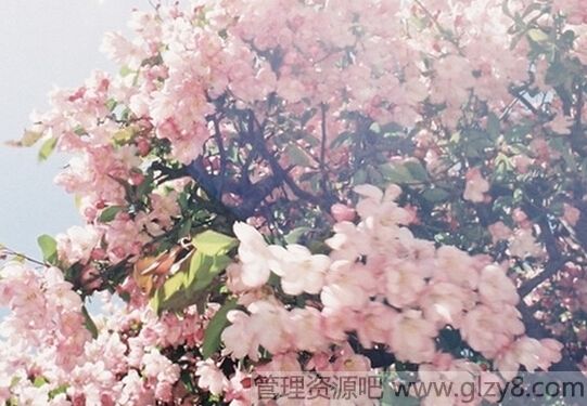 ЩִԲļ