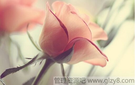 һϲӣǲϲ