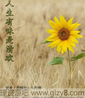 ζ延