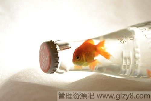 飬֪