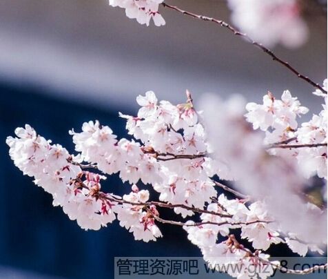 Ϧʷ55䰮