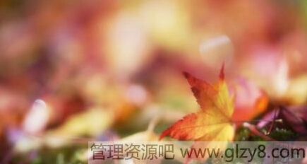 쳾İԵһ̹Ȼ