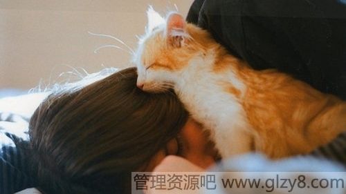 心中的忘情水