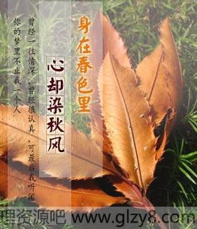 ڴɫȴȾ