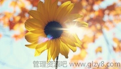 ˣ