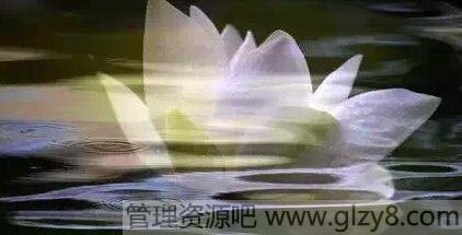 ǧġƪۿ޶