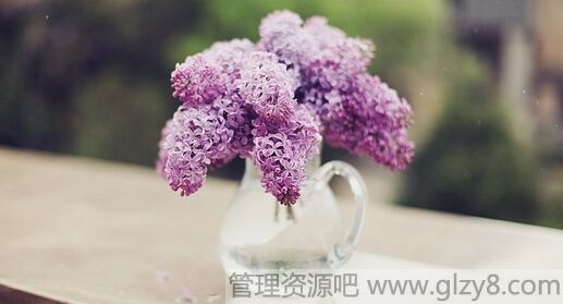 盛开的力量