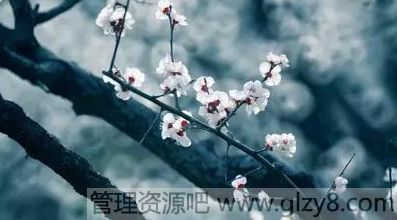 Щ꣬㰮