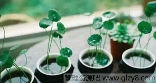 飺Ҹ