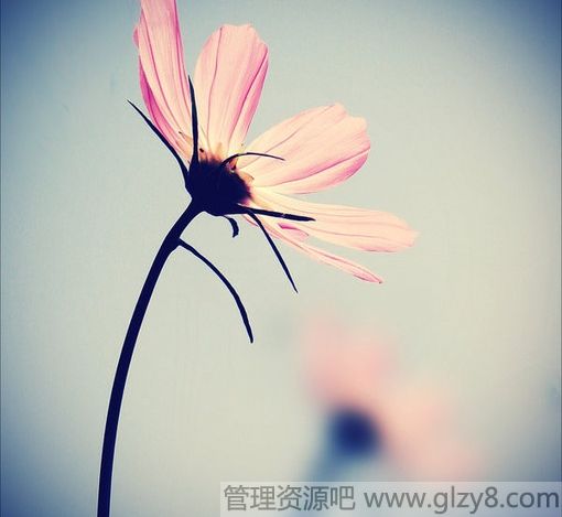 ִִ