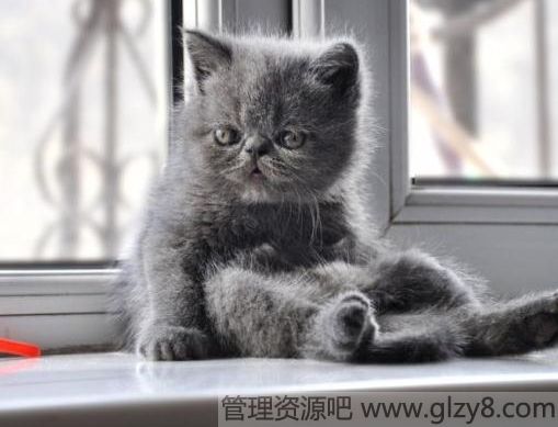 心若被困,世间处处是牢笼