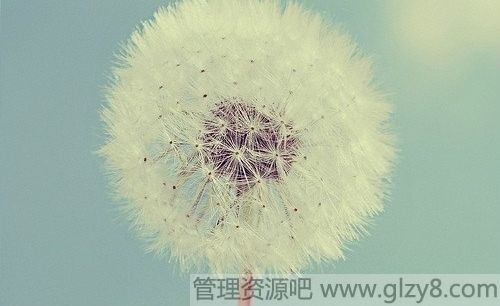 延Żĺ