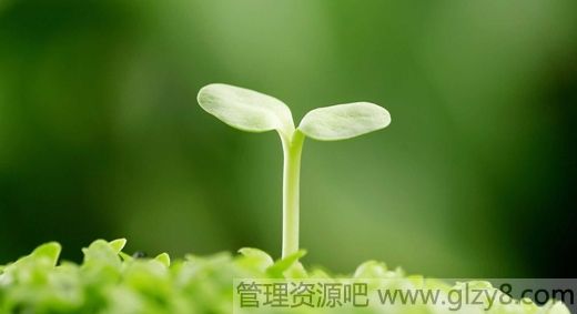 你说,你是我知己