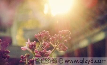 ·ϵķ羰