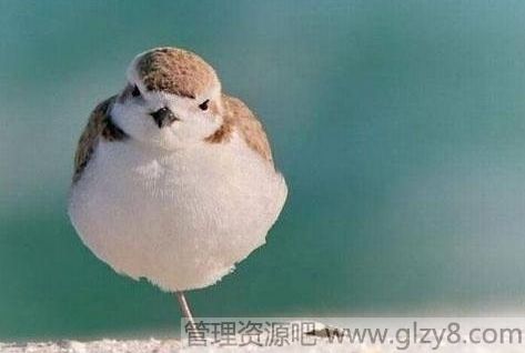 ¸ǰ