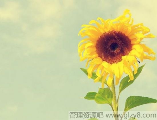 ɿݵϣ