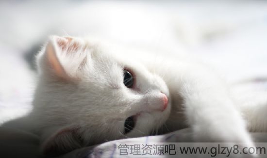 ޹˭֡