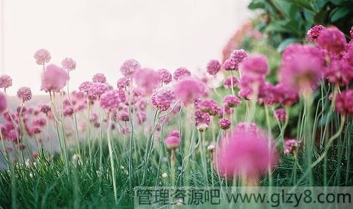 ϲ׸裬ѭ