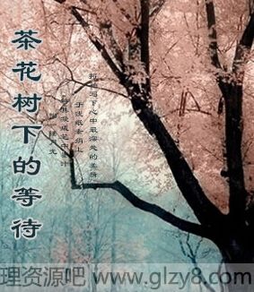 軨µĵȴ