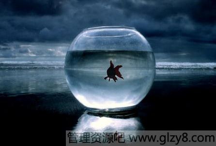 е㶼ͬһƬ
