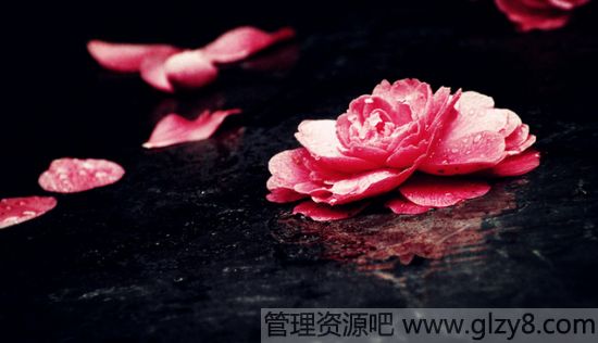 ݱս䣬ĺ޲