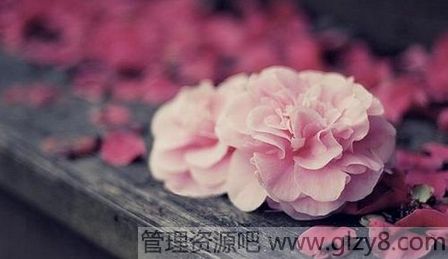 绨 л