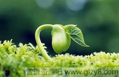 ÿһ飬Ŵķ