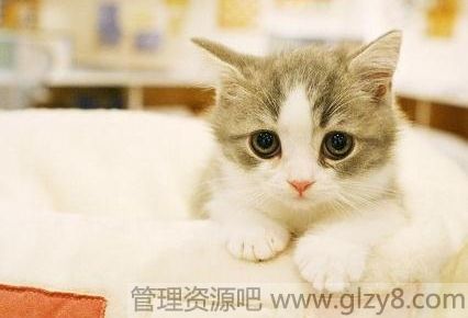 ϵ