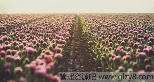 һ延ȸ