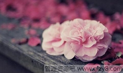 仨