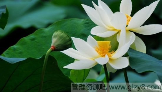 筶.ӽ