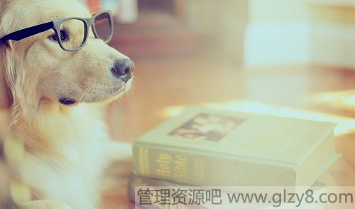 浅浅笑,轻轻爱