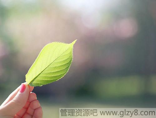 лл㣬