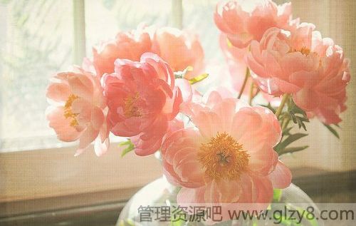 䣬˲