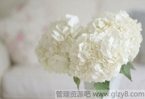 䣬˲