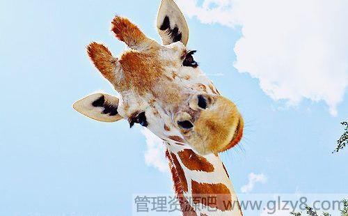 ûйȥ飬ֻйȥ