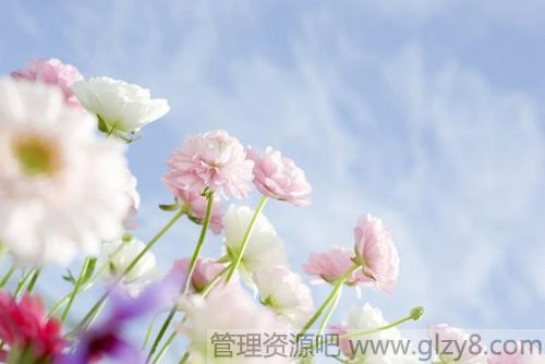 收拾心情,重新上路
