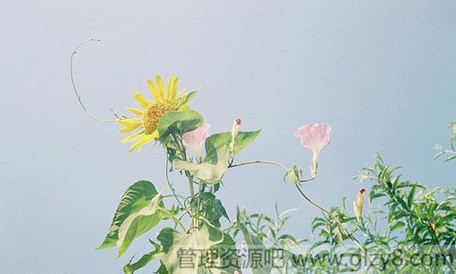 收拾心情,重新上路